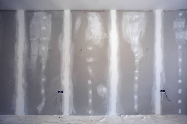 Professional Painting & Drywall Installation in Willacoochee, GA